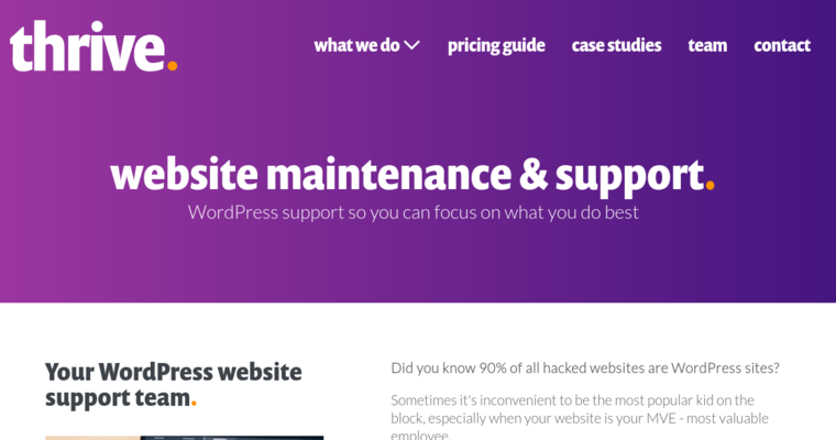 Support page of #1 Top Seattle Web Development Firm: Thrive Design